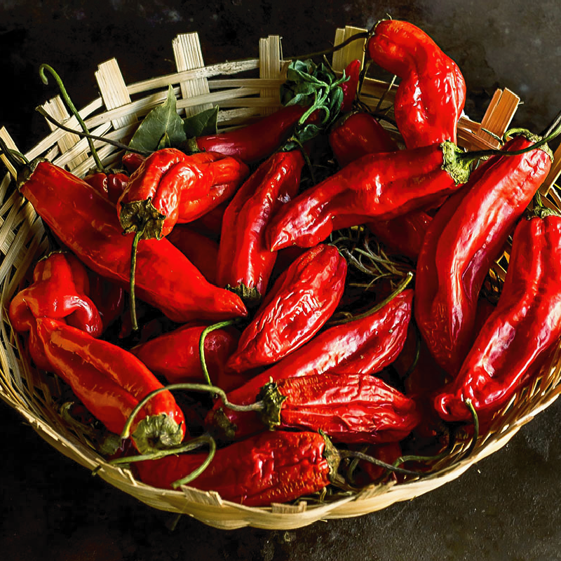 Hierbas y especias chilenas